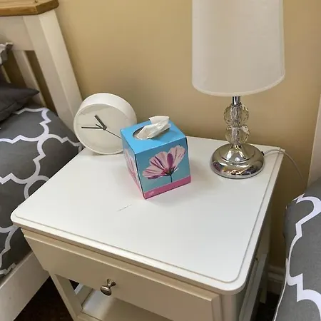 住宿加早餐酒店 The Ashton Mews 布里斯托